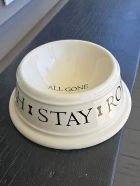 Beige Ceramic Dog Food Bowl